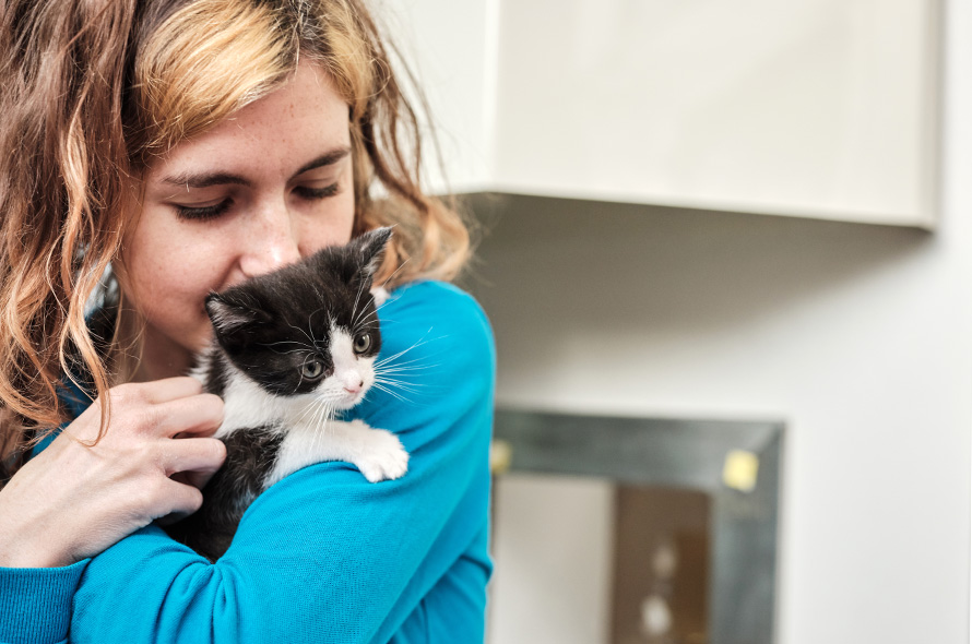 The cost of owning a cat Battersea Dogs & Cats Home